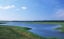 遮水シート（防水シート）